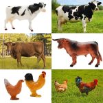 Мини-игрушечный сарай, ферма, игрушки, игровой набор, 66 шт., пластиковые фигурки животных и забор — изображение 3