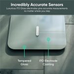 Цифровые весы для измерения веса тела и аналитики Wyze — изображение 3