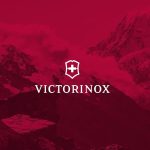 Нож шеф-повара Victorinox Swiss Classic с прямым лезвием — изображение 7