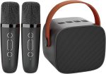Караоке-система IROO с 2 беспроводными микрофонами, Bluetooth-динамик для детей и взрослых
