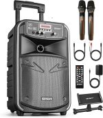 Караоке-Bluetooth PA-система с беспроводными микрофонами GEYGUY