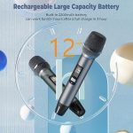 Беспроводные микрофоны UHF для караоке HWWR, микрофонная система с перезаряжаемым приемником — изображение 6
